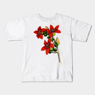 Red Cotton Tree Flowers 1800 Calcutta India Kids T-Shirt